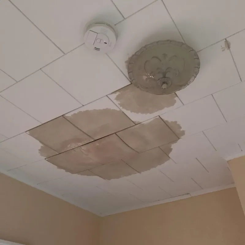 Ceiling Water Damage Repair in Hanover, IN