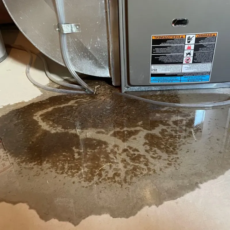 Pipe Burst and Leak Restoration in Hanover, IN