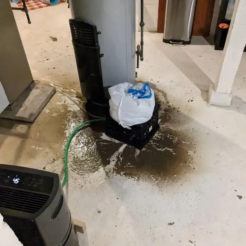 Sewage Backup Cleanup Service in Hanover, IN